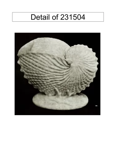 231504