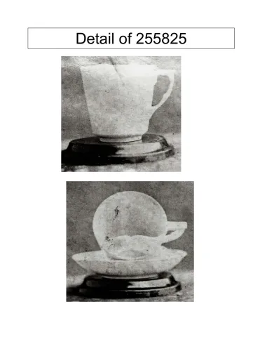 255825