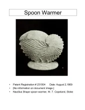 Spoon Warmer