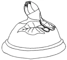Arum | James Edwards & Son | Teapot or Coffee Pot Base and Lid | ItemDrw | 005