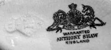 Britianna | Anthony Shaw | Relish Dish | Mark | 005
