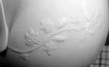 Budded Vine | Meakin Bros. (& Co.) | Ewer | Embossing | 003