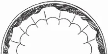 Ceres Shape_Elsmore & Forster_Plate_EmbossingDrw_001