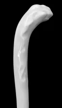 Chinese Shape_Unspecified_Sauce Ladle_Handle_002
