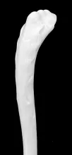 Chinese Shape_Unspecified_Soup Ladle_Handle_004