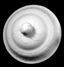 Columbia Shape | G. Wooliscroft | Vegetable Tureen Lid | Item | 002