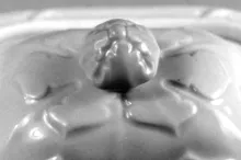 Dallas Shape_Joseph Clementson_Soap Box Lid_Finial_001