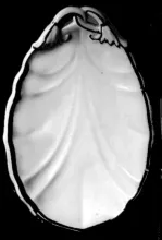 Dangling Tulip_Edward Pearson_Relish Dish_DecItem_002