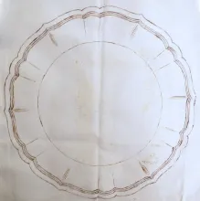 Dangling Tulip_Pearson, Farrall, & Meakin_Plate_KewDrw_002
