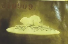 Dominion_W. Baker & Co._Soap Box Lid_KewItem_001
