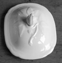 Flora (Bordered Gooseberry)_Wedgwood & Co._Soap Box Lid_Item_001