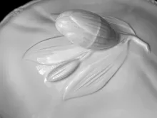 Flora Shape_John Alcock_Sauce or Soup Tureen Lid_Finial_001