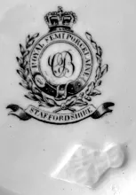 Flowering Vine_Clementson Bros._Ewer_Mark_002
