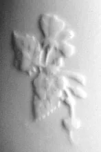 Garden Sprig_J. & G. Meakin_Table Pitcher_Embossing_001