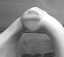 Garden Sprig_J. & G. Meakin_Table Pitcher_Finial_003