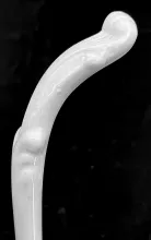 Gothic_Venables, Baines, & Co._Soup Ladle_Handle_002