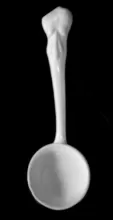 Grenade Type | William Taylor | Ladle (Sauce, Soup, or Chowder) | Item | 001