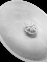 Havre | John Edwards | Vegetable Tureen Base and Lid | Finial | 002