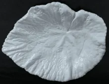 Haynes Leaf_Maryland Pottery Co._Relish Dish_Item_001