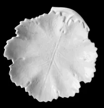 K. T. & K. Leaf 2 | John Wyllie & Co. (& Son) | Relish Dish | Item | 001