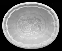 Kitchenware | John Jr. & Samuel Alcock | Food Mold | Item | 002