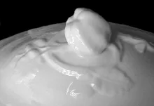 Leaf Fan_Bridgwood & Clarke_Vegetable Tureen Lid_Finial_001