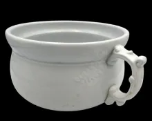 Maidenhair Fern | Arthur J. Wilkinson (Late Richard Alcock) | Chamber Pot Base | Handle | 001