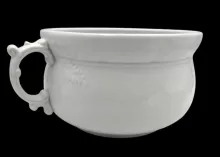 Maidenhair Fern | Arthur J. Wilkinson (Late Richard Alcock) | Chamber Pot Base | Item | 001