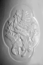 Medallion Fern_J. & G. Meakin_Ewer_Embossing_003