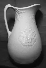 Medallion Fern_Thomas Furnival & Sons_Ewer_Item_001