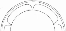 Memnon Shape_John Meir & Son_Plate_EmbossingDrw_002