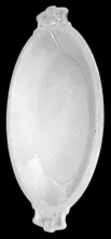 Moses | John Moses & Co. | Relish Dish | Item | 001