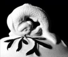 Nautilus | Joseph Clementson | Vegetable Tureen Base and Lid | Finial | 002