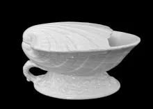Nautilus | Unspecified | Shell Spoon Warmer | Item | 001