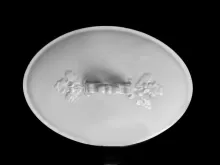Oak and Acorn | Edward Clarke | Vegetable Tureen Lid | Item | 001