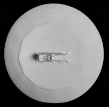 Plain_J. & G. Meakin_Waste or Slop Jar Lid_Item_001
