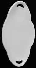 Plain_J. W. Pankhurst (& Co.)_Relish Dish_Item_003