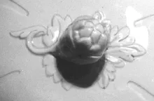 Pomegranate_Jacob Furnival_Chamber Pot Lid_Finial_002