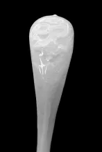 Pomegranate_Jacob Furnival_Sauce Ladle_Handle_002
