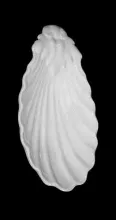 Powell & Bishop Shell | Powell & Bishop | Relish Dish | Item | 003