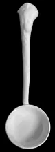 President Shape_John Edwards_Soup Ladle_Item_001