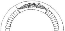 Ribbed Fern_Arthur J. Wilkinson (Late Richard Alcock)_Plate_ItemDrw_001