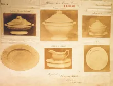 Ribbed Grape_Bridgwood & Clarke_Plate_KewColl_002