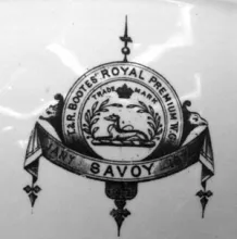 Savoy_T. & R. Boote (& Co.)_Ewer_Mark_002