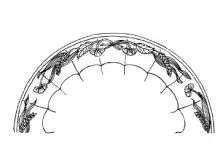Scotia Shape | F. Jones (& Co.) | Plate | EmbossingDrw | 001