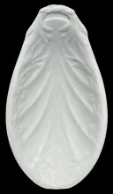 Scotia Shape_F. Jones (& Co.)_Relish Dish_Item_001