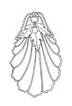 Sevres Shape | John Edwards | Relish Dish | ItemDrw | 001