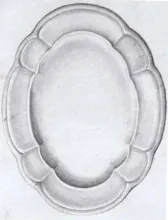 Split Pod_James Edwards & Son_Platter_KewDrw_001