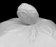 Square Flower_James Edwards_Sauce or Soup Tureen Base, Lid, and Underplate_Finial_004