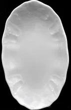 Tracery_Johnson Bros. (Late Pankhurst & Co.)_Relish Dish_Item_001